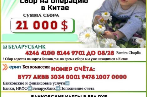 Организован сбор